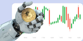 Rys Dochodava cryptocurrency exchange platform dashboard view